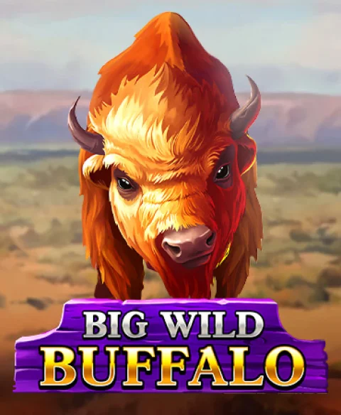 Play Big Wild Buffalo at Star Da Casino